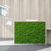 Reception Counter with Moss front