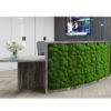Curved reception desk with Moss Front