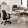Height Adjustable desks in white