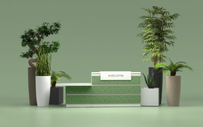 Office Plants for Reception