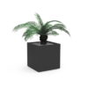Palm for Office