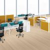 Office Dividers in Orange and Green