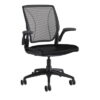 Humanscale Diffrient World Chair in Black Mesh
