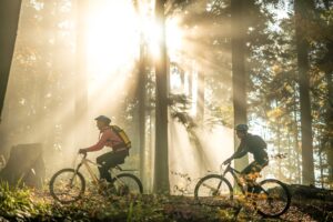 Balancing Work and Wellbeing Mountain with Bike rides