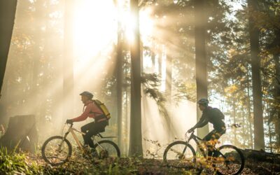Blancing Work and Wellbeing Mountain with Bike rides